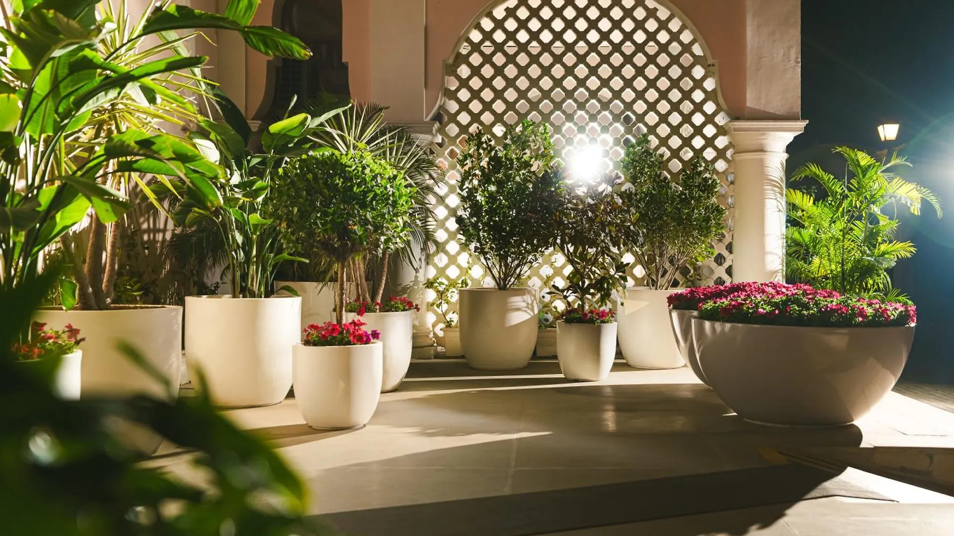 Dlf Club 5 Hotel Gurgaon